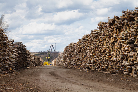 There are stacks of logs on both sides of the road.