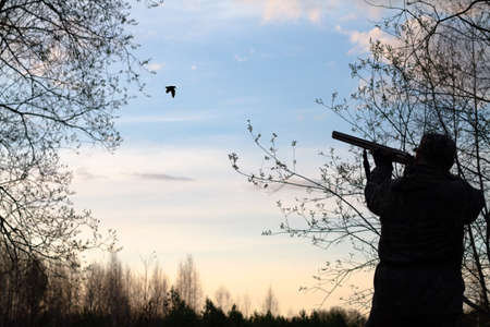 A dark silhouette of a hunter who shoots a woodcock with a shotgun.