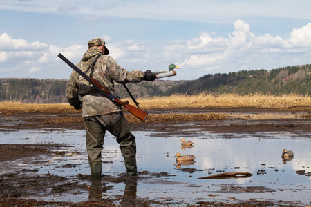 A waterfowl with a duck decoy in his hand walks in muddy shallow water.の写真素材