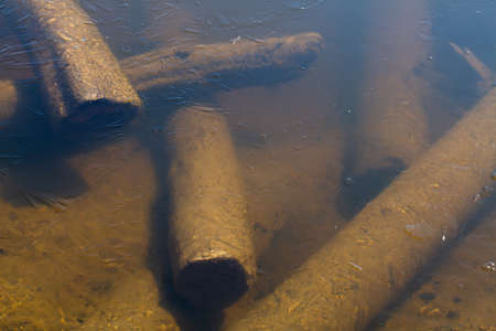 Sunken logs are piled up at the bottom of the river.の写真素材