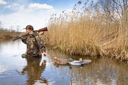 The hunter walks through the lake in waist - deep water next to the bank overgrown with reeds. He pulls plastic duck decoys tied to a string behind him.の写真素材