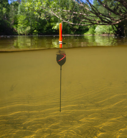 A black fishing float with an orange tip sits upright in clear water. Trees grow thickly along the banks of the river. You can see the sandy bottom of the river. Underwater and surface shooting. Close-up.の写真素材
