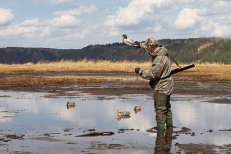 A hunter with a duck decoy in his hand stands in muddy shallow water. He prepares for a duck hunt and sets up plastic dummy ducks.の写真素材