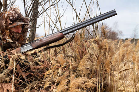 A camouflaged duck hunter looks out from a masked hideout. He's holding a shotgun.の写真素材