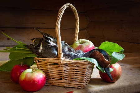The hunter's prey (a downed whistling teal) is in a wicker basket. Red apples and rhubarb leaves are lying nearby. Close-up.の写真素材