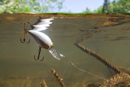 Fishing with spinning. On the surface of the greenish river water, covered with ripples, a light gray wobbler floats attached to a fishing line. Snags are visible in the background. A look from under the water. Close-up.の写真素材