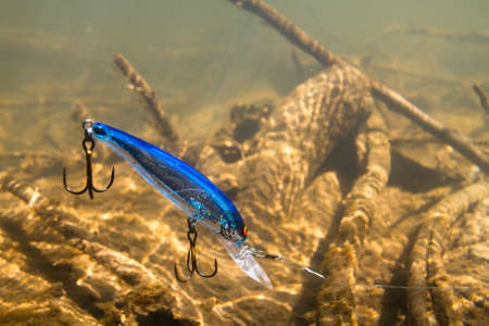 A blue elongated wobbler dived into the depths of the river while fishing. A metal leash pulls him forward. In the background - the muddy bottom of the river with driftwood, illuminated by the sun.の写真素材