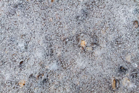 Thin openwork ice covers the coastal pebbles. Brown stones are faintly visible under the opaque ice. Close-up.の写真素材
