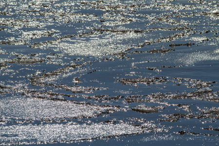 On the river, the thin ice sheet split into many small ice floes. The scene is illuminated by contour light. The glare plays on the ice floes.の写真素材