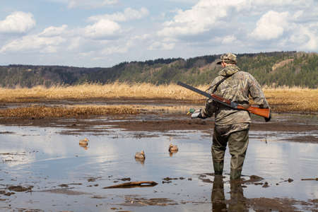 A waterfowl with a duck bait in his hand stands on a muddy shallow water. He prepares for the hunt and arranges plastic ducks.の写真素材