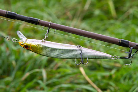 A yellow-silver wobbler is attached to a spinning rod, for easy transportation. Close-up.