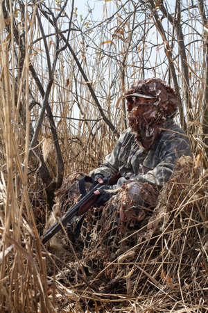 A waterfowler sits in a swamp in a bush overgrown with reeds. He holds a shotgun in his hands. The hunter is dressed in a camouflage suit.の写真素材
