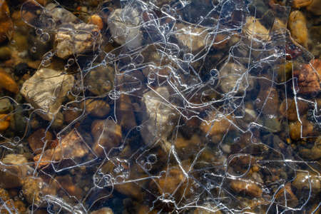 Thin transparent multi-layered ice covers coastal pebbles. Facets and bubbles form a pattern on the ice. Close-up.の写真素材