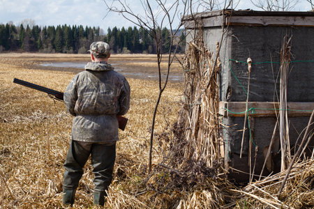 A duck hunter stands next to the duck blind. He has a shotgun in his hands. Before the hunter begins muddy shallow water, where the ducks arrive.の写真素材