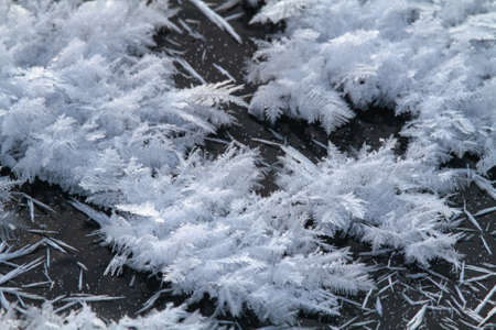 It's very frosty here. Hoarfrost crystals covered the surface of the dark river ice with a fluffy cover.の写真素材