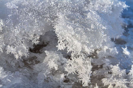 Frost crystals have grown on an uneven surface in a severe frost. They are illuminated by the sun.