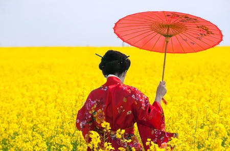 Geisha in the yellow fieldの写真素材