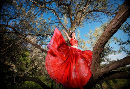 Portrait of a woman in airy red dress on a tree branchの写真素材