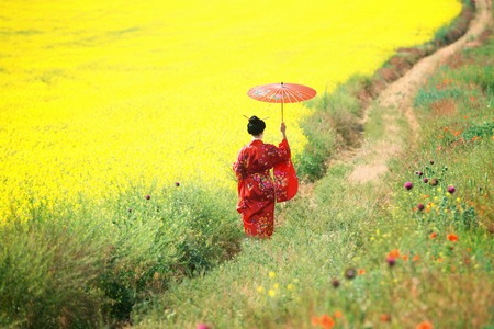 Asian style portrait of a woman walking in the fields, view from backの写真素材