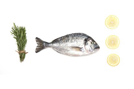 Fresh Dorado Fish isolated on white background ingredients for cooking. View from above.の写真素材