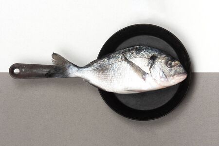 Fresh fish dorado on a frying pan on a duotone background grey and white. View from above.の写真素材