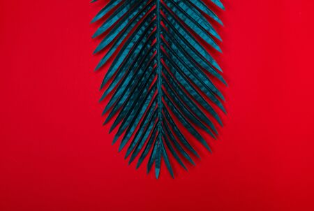 Fresh green tropical palm leaf on red background. Empty space for copy, lettering, room for text. Minimalist style flat lay poster design template.の写真素材