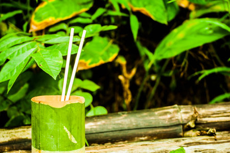 Bowl for eating, made in bamboo, jungle, Chiang Rai province, Thailandの写真素材