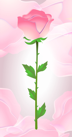 Beautiful pink rose for designのイラスト素材