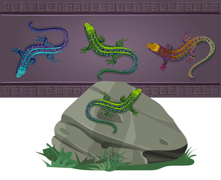 set of lizards of various colors, located on the wall and on the stoneのイラスト素材