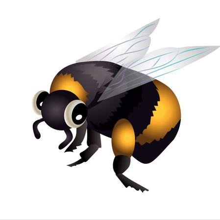 bumblebee in flight. Cartoon bumblebeeのイラスト素材