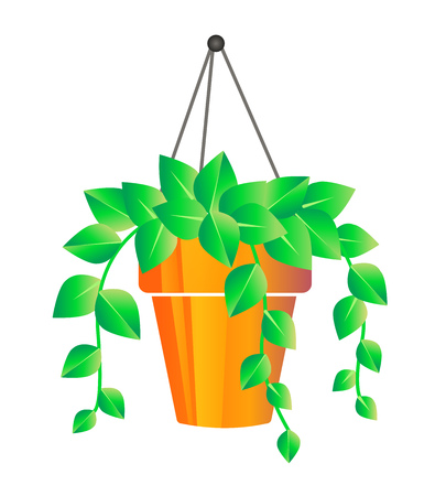 icon of a potted flower weighing on the wall. Icon in modern flat styleのイラスト素材