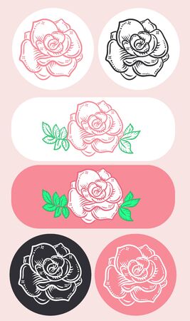 set of roses element on different backgrounds. Linear style iconのイラスト素材