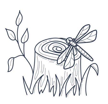 Illustration of a forest, stump with a dragonfly. Icon in linear styleのイラスト素材