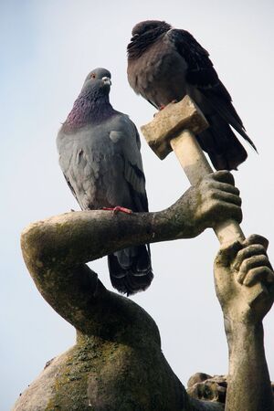 pigeons sitting on the sculptureの写真素材