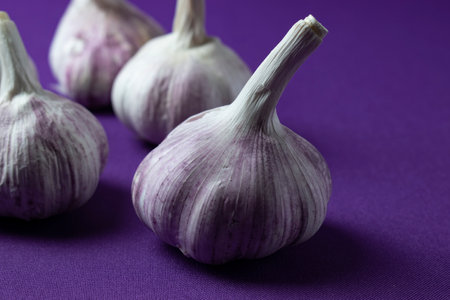 Garlic on a purple background. Close-up, selective focus.の写真素材