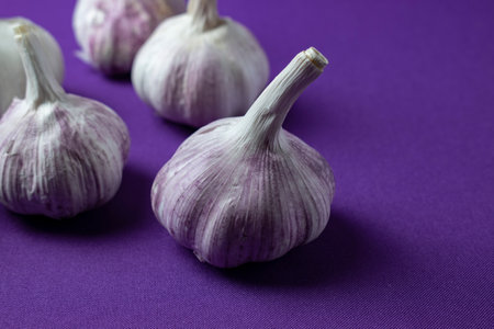 Garlic on purple background. Garlic is a genus of herbaceous plants.の写真素材