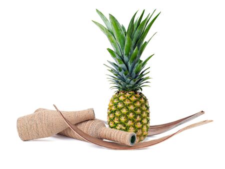 still life of pineapple and decorated bottles isolated on white の写真素材