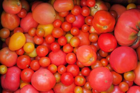 Red and yellow tomatoes background. Closeup.の写真素材