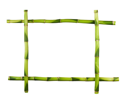 Green bamboo frame isolated on white background. Closeup.の写真素材