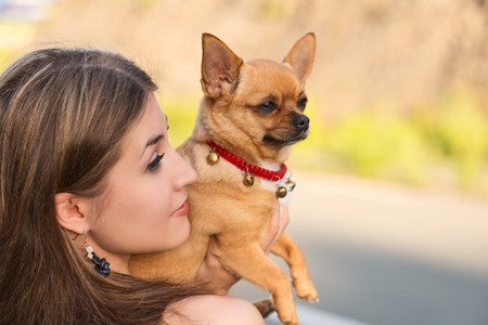 Young beautiful blonde girl and red chihuahua dog looking into the distance. Outdoor portrait in soft sunny colors.の写真素材