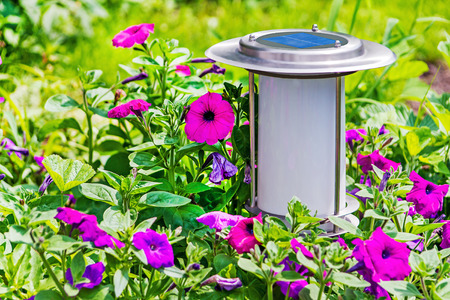 Solar powered garden lamp beside flowers geraniums bed.の写真素材