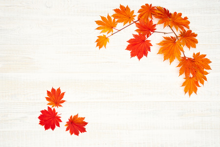 Faded autumn leaves on white wooden background. Flat lay with copy space.