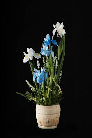 Flower arrangement of flowers on dark background.の写真素材