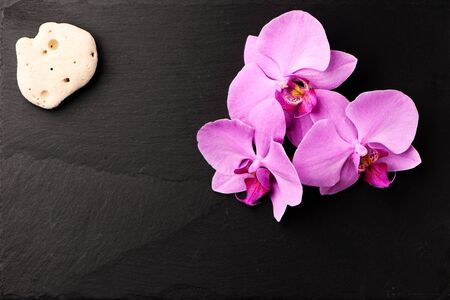 Flower arrangement of orchids on dark stone background.の写真素材