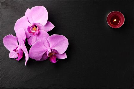Flower arrangement of orchids on dark stone background.の写真素材