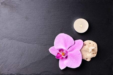 Flower arrangement of orchids on dark stone background.の写真素材