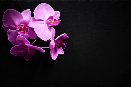 Flower arrangement of orchids on dark stone background.の写真素材