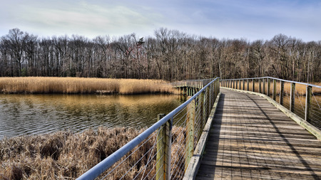 Winter Bridgeの写真素材