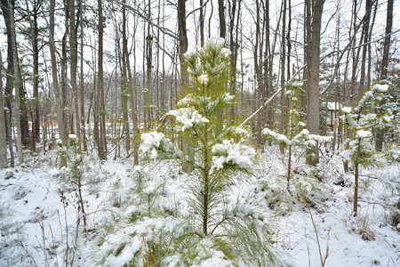 Landscapeの写真素材