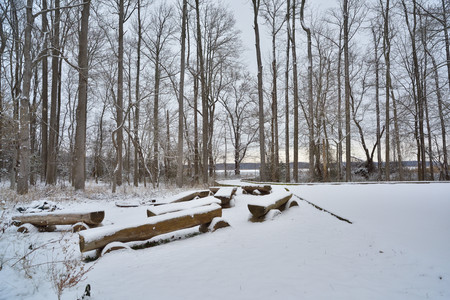 Winter in Baltimoreの写真素材